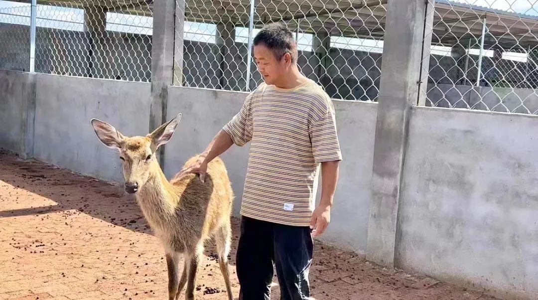 emc全站论坛